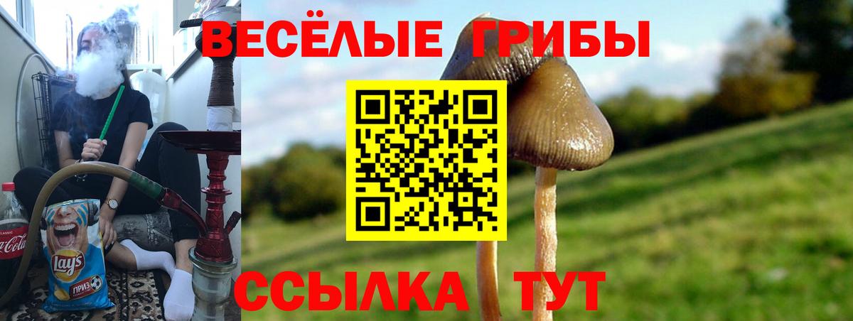 Кушва  Псилоцибиновые грибы Psilocybine cubensis  Вход с VPN 