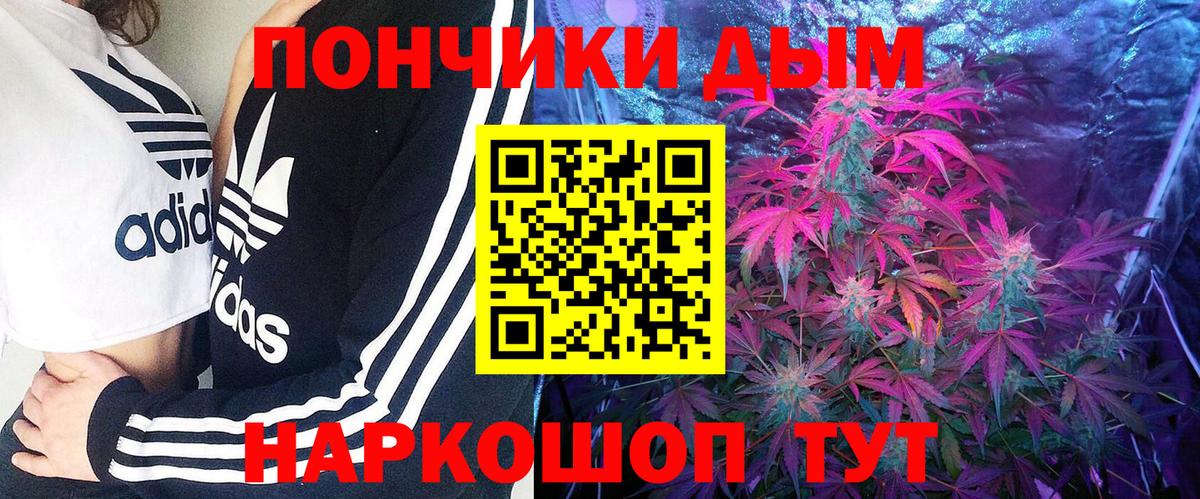 Кушва  Бошки марихуана тримм  Вход с VPN  Бошки марихуана конопля 
